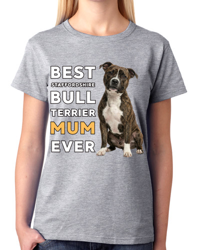 Best staffordshire bull - best,