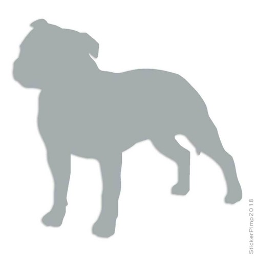 Staffordshire bull terrier - staffordshire,