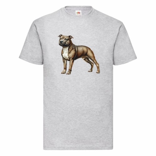 Staffordshire bull terrier - terrier, t