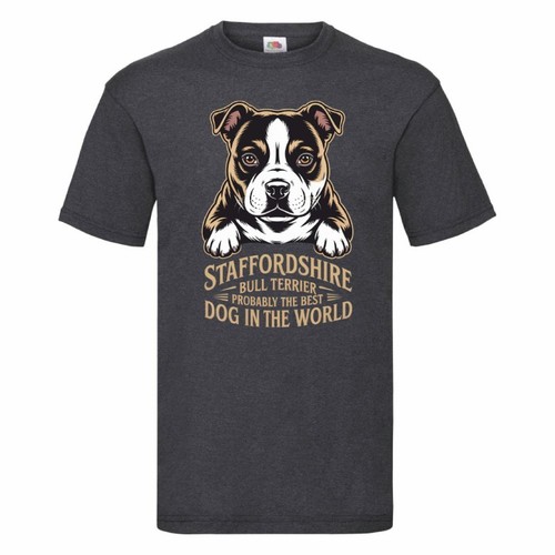 Staffordshire bull terrier - staffordshire,