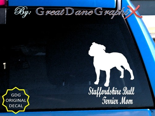 Staffordshire bull terrier - staffordshire,