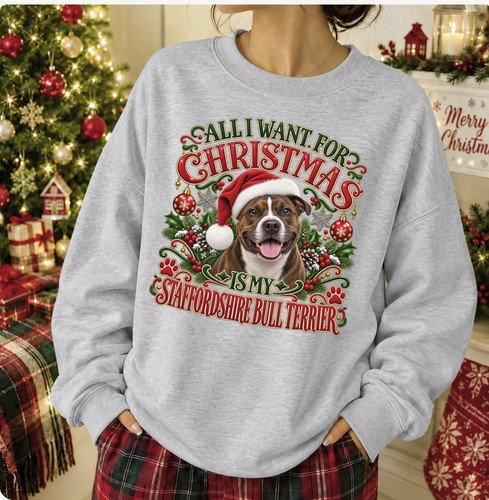 Staffordshire bull terrier - bull,