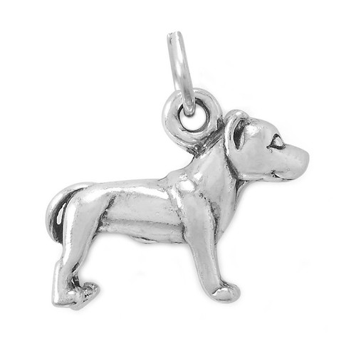Pit bull staffordshire terrier - pit,