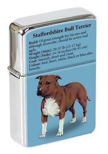 Staffordshire bull terrier - staffordshire,