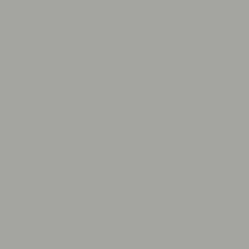 Staffordshire bull terrier - bull,