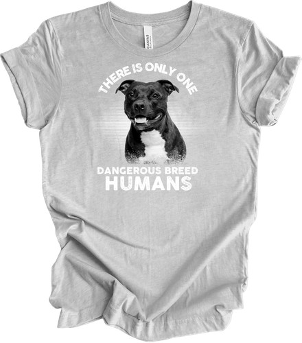 Staffordshire bull terrier dog - terrier,