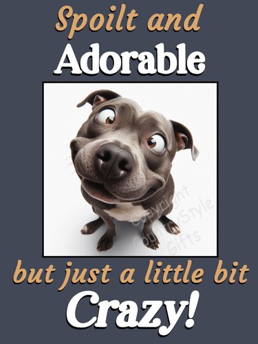 Staffy staffordshire bull - staffordshire,