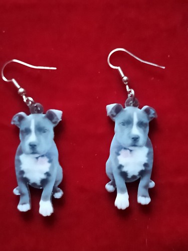Staffordshire bull terrier - bull,