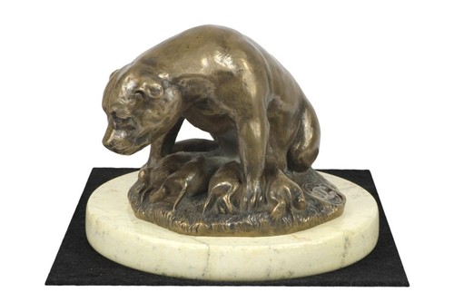 Staffordshire bull terrier - bull,
