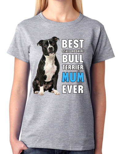 Best staffordshire bull - staffordshire,