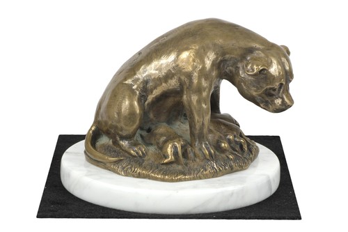 Staffordshire bull terrier - staffordshire,