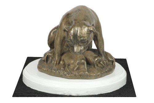 Staffordshire bull terrier - staffordshire,