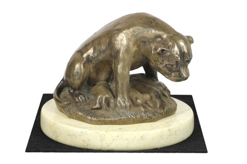 Staffordshire bull terrier - bull,