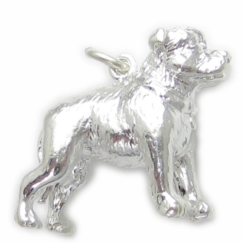 Staffordshire bull terrier dog - staffordshire,