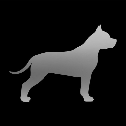 Staffordshire bull terrier