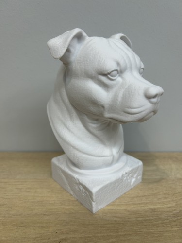Staffordshire bull terrier - bull,