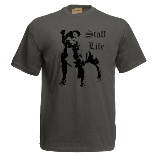 Staffordshire bull terrier