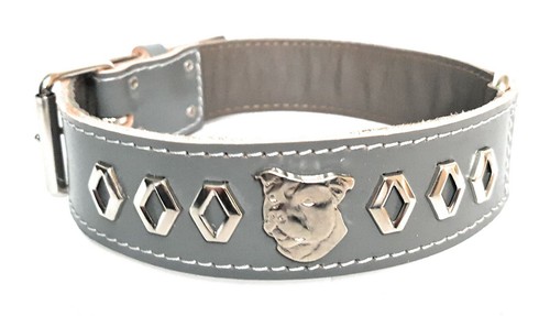 Inch wide staffy leather - 1.5,