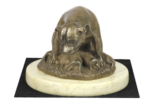 Staffordshire bull terrier - bull,