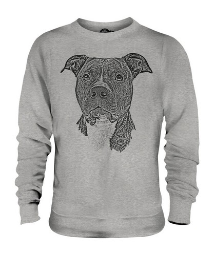 Staffordshire bull terrier - bull,