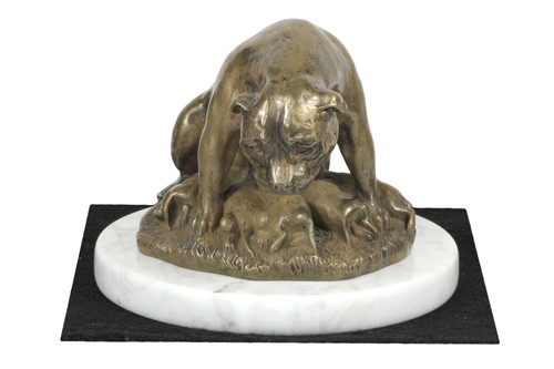 Staffordshire bull terrier - staffordshire,