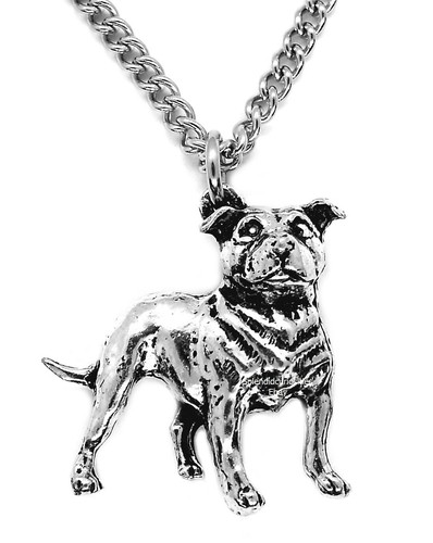 Staffordshire staffie bull - staffordshire,