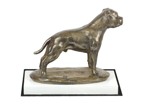 Staffordshire bull terrier - bull,
