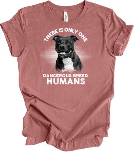 Staffordshire bull terrier - staffordshire, dog