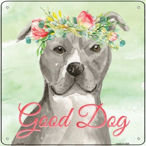 Staffordshire bull terrier - bull,