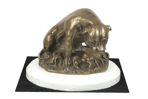 Staffordshire bull terrier - staffordshire,