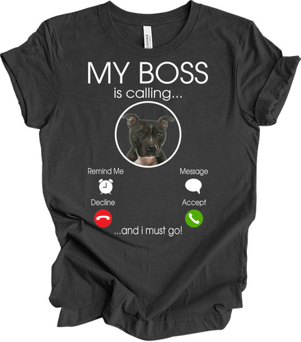 Funny pitbull dog calling - funny,