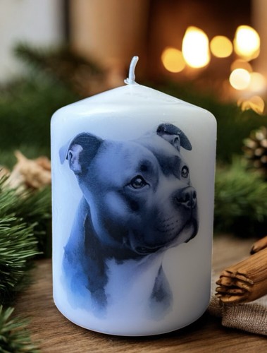 Blue grey staffordshire bull - blue,