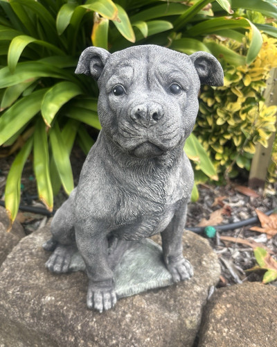 Concrete staffordshire bull - concrete,