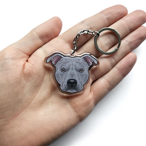 Staffordshire bull terrier