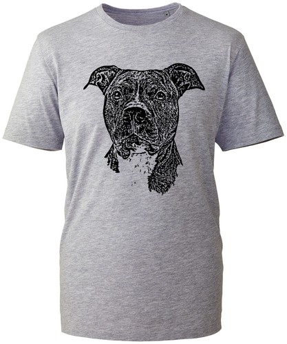 Staffordshire bull terrier - bull,