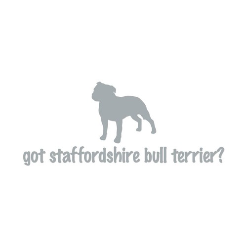 Got staffordshire bull terrier - bull,