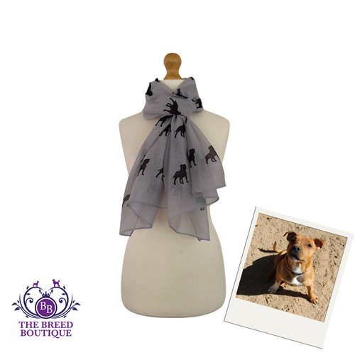 Staffordshire bull terrier - staffordshire,