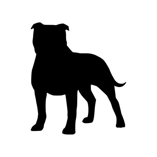 American staffordshire terrier - american,