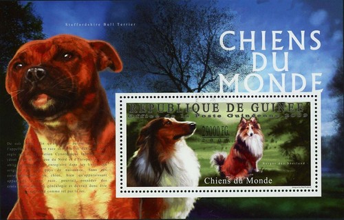Dogs stamp staffordshire bull - dogs,