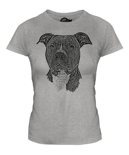 Staffordshire bull terrier - bull,
