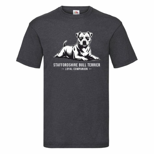 Staffordshire bull terrier - bull,